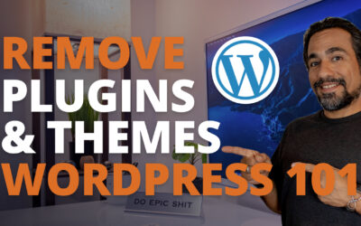 Removing unnecessary plugins and themes from WordPress